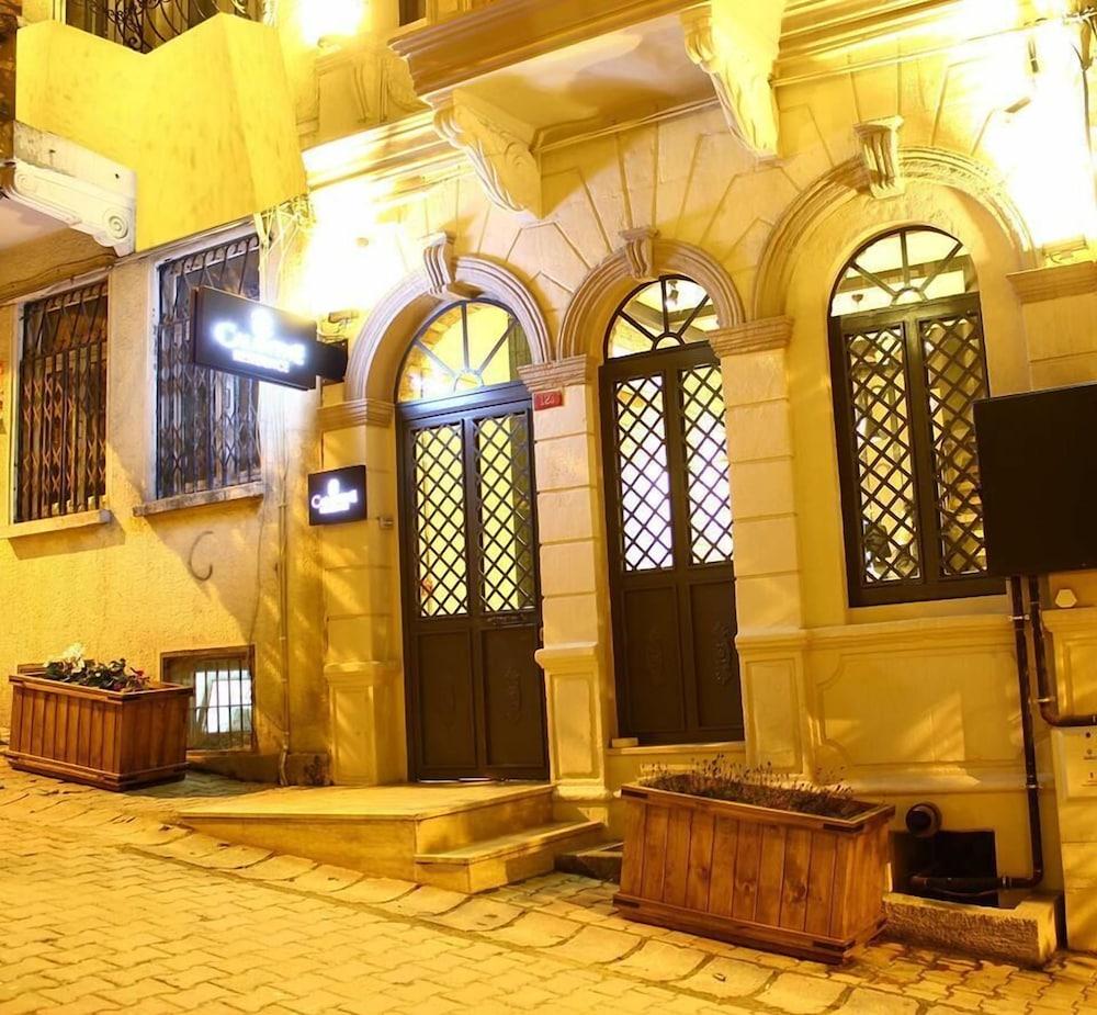 Calanthe Provincia di Istanbul