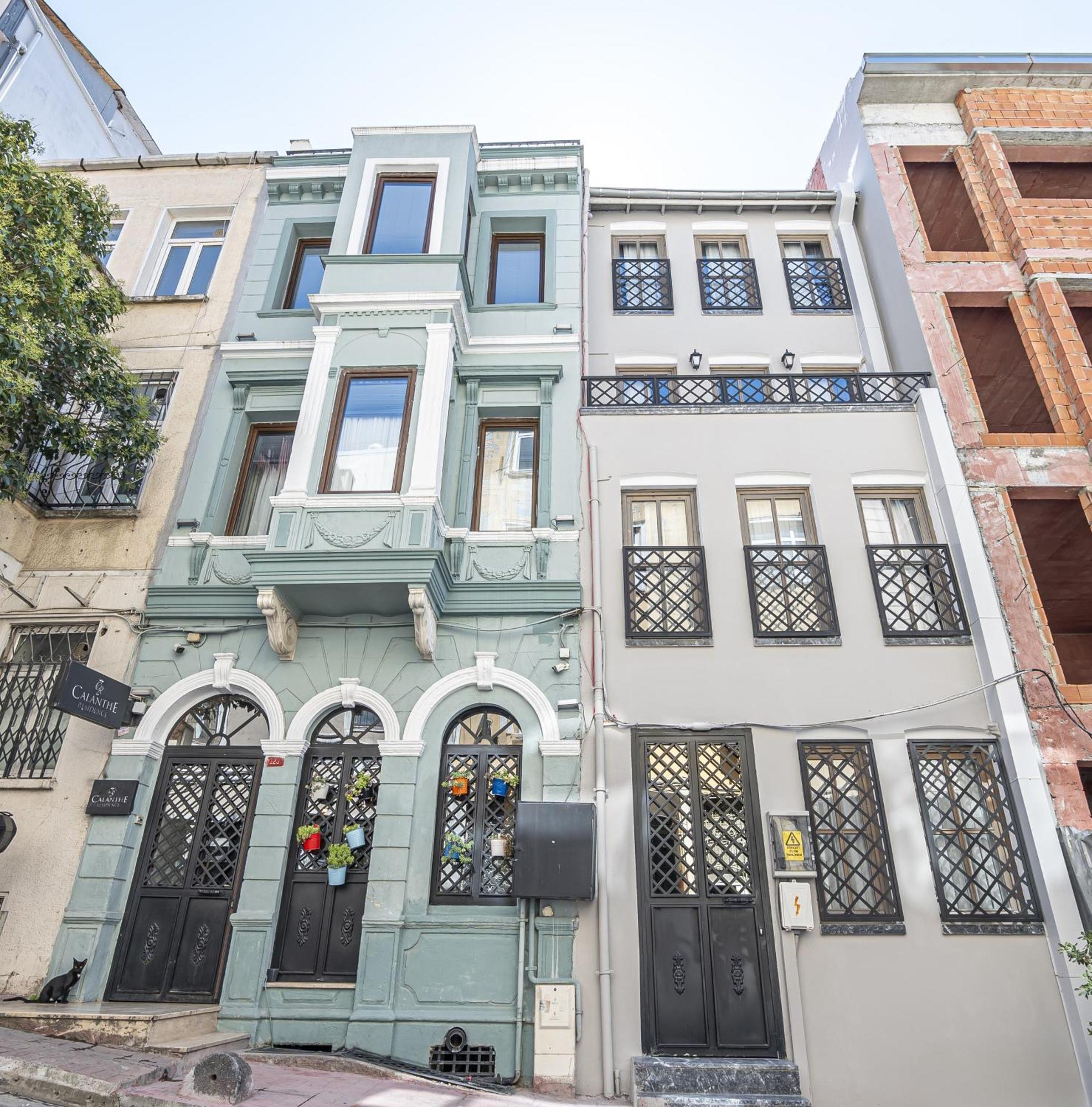 Calanthe Provincia di Istanbul